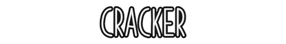 Custom Neon: CRACKER