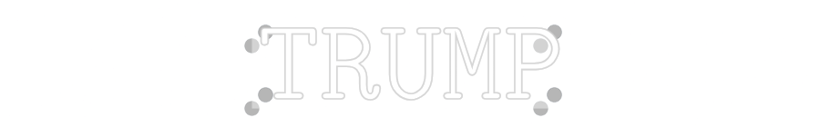 Custom Neon: TRUMP