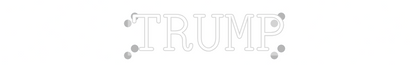 Custom Neon: TRUMP