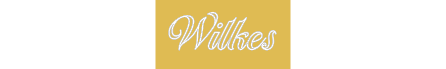 Custom Neon: Wilkes