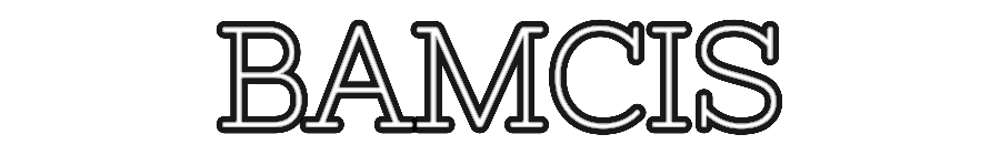 Custom Neon: BAMCIS