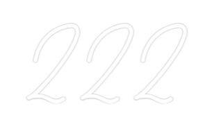 Custom Neon: 222