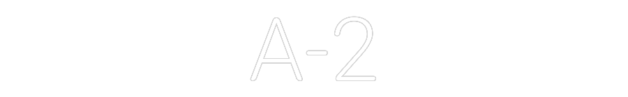Custom Neon: A-2