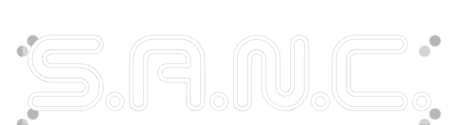 Custom Neon: S.A.N.C.