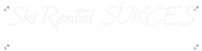 Custom Neon: Ski Rental SU...