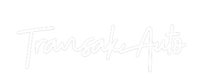 Custom Neon: TransakAuto