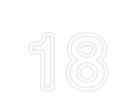 Custom Neon: 18