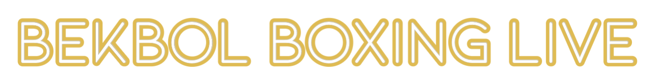 Custom Neon: Bekbol Boxing...