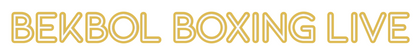 Custom Neon: Bekbol Boxing...