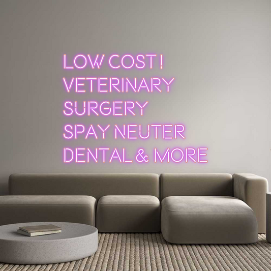 Custom Neon: Low Cost !
V...